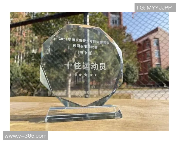 南京羽毛球队崛起之路城市联赛背后的奋斗与荣耀