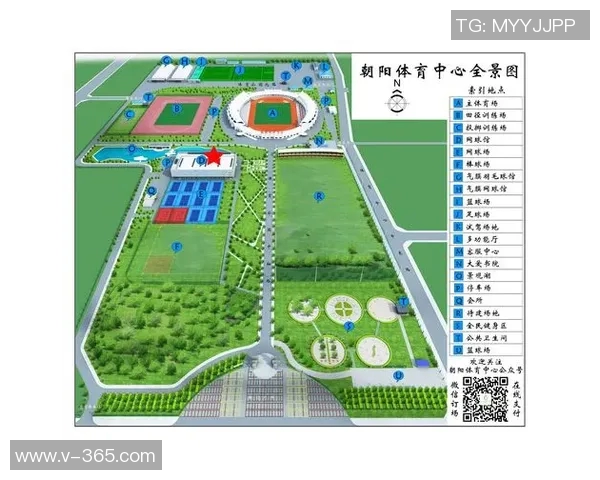 成都羽毛球队总决赛技术分析与表现评估全景解读