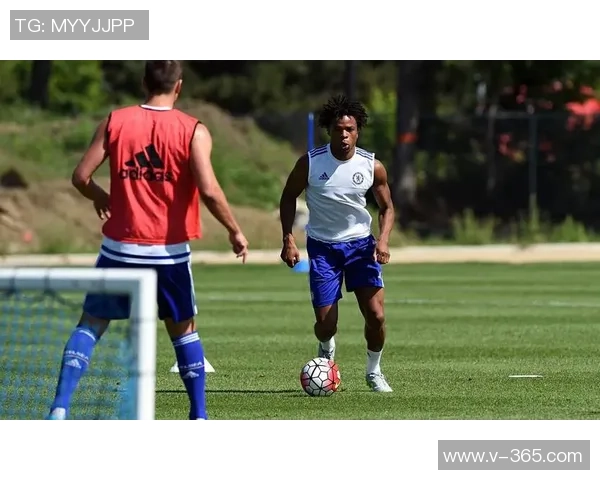 足球明星雷米大叔的传奇人生与绿茵场上的辉煌瞬间揭秘