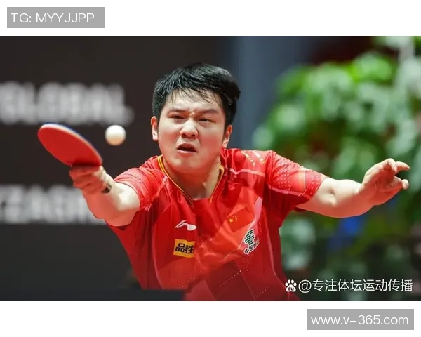 数据分析：深圳乒乓球队的状态表现