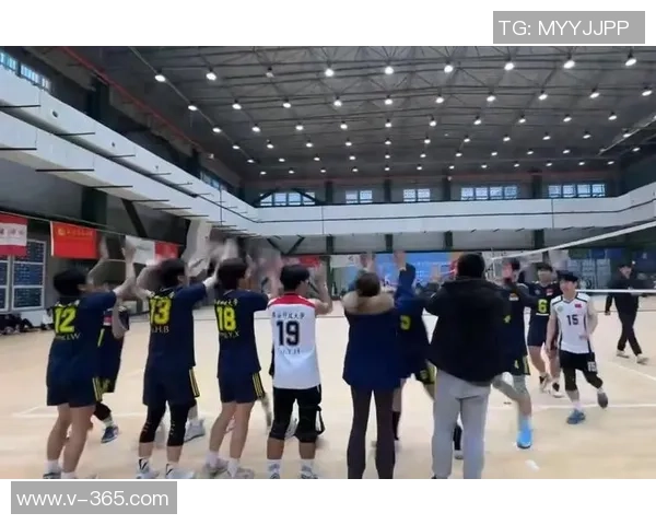 数据分析：西安排球队的团队协作表现