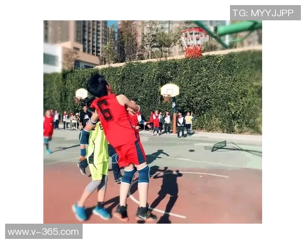 杨娜专访：回顾篮球历程