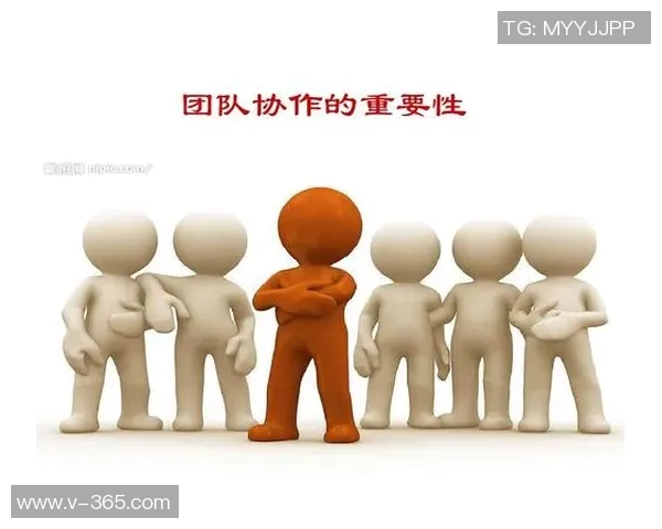 独家分析：北京乒乓球队的团队协作对比