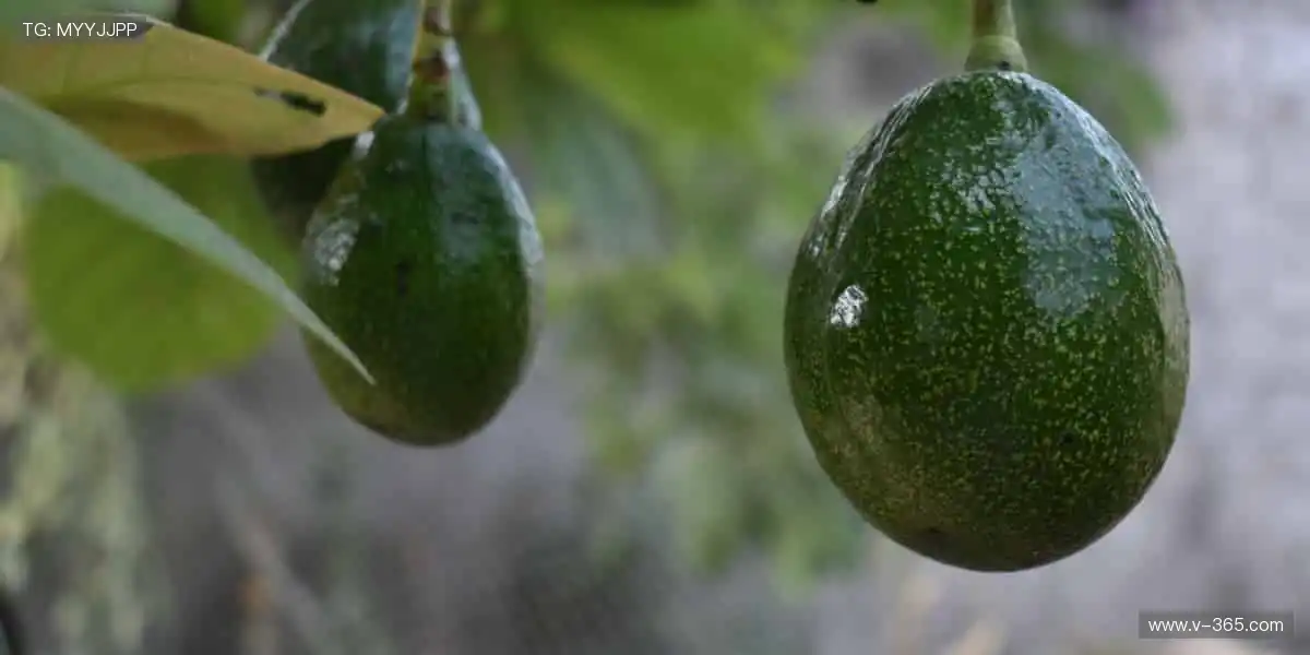 🎁球迷专属装备，把热爱穿在身上！👕⚽️