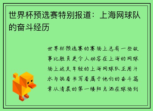 世界杯预选赛特别报道：上海网球队的奋斗经历